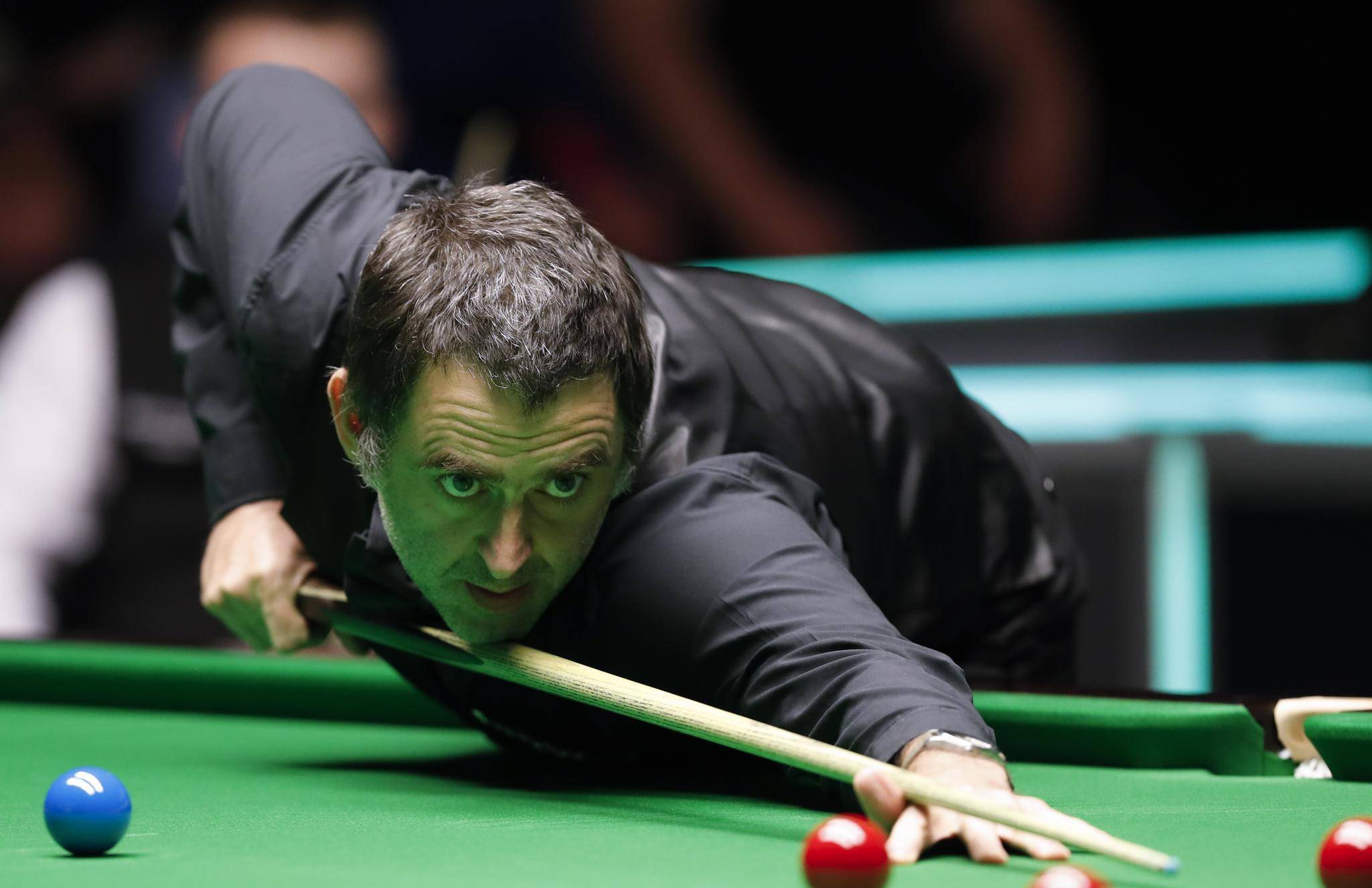 不仅需要寻 不仅需要寻